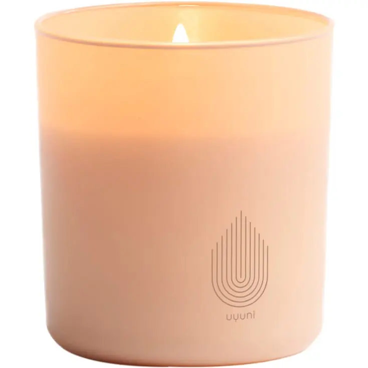 4 stk Uyuni LED stearinlys, beige | Meget populær