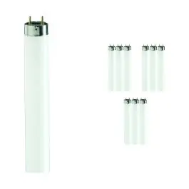 Begrænset antal | Fordelspakke 10x Philips MASTER TL - D Graphica 36W - 950 kold hvid 120cm