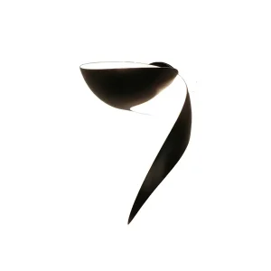 Flame Small Wall Lamp af Serge Mouille - Nedsat pris