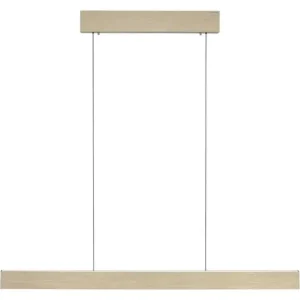 Eftertragtet | PURE E-MOTION LANGBORDSPENDEL MED MOTOR HEJS MAT MESSING LED