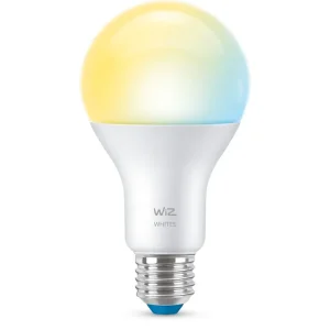 Særpris - WizPære 100 W A67 E27