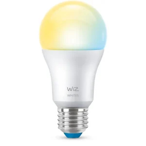 Dagens tilbud | WizPære 60 W A60 E27