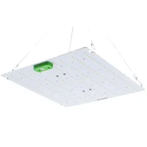 Tilbud | Quantum vækstlampe 65WInkl. ophæng, fuldt spektrum, uden blæser, IP65